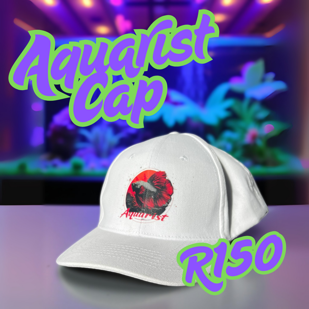 Aquarist Cap - Betta
