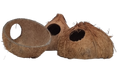 Coconut Cave