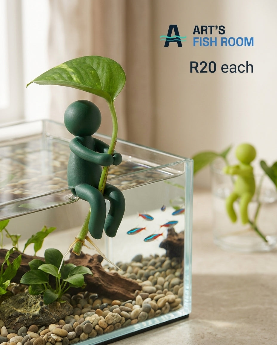 Plant Holder Man