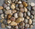 Pebble Substrate - Riverbank (OceanMax)