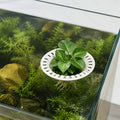 Floating Plant Holder